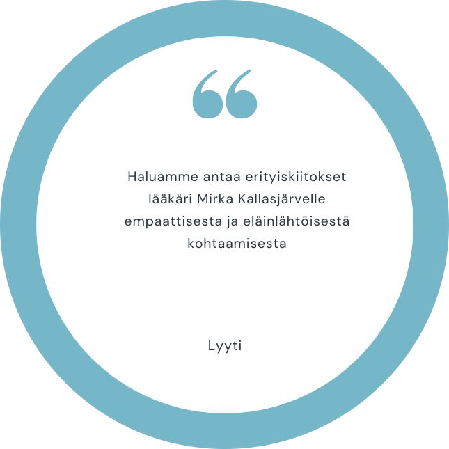 13-asiakaspalaute-Lyyti