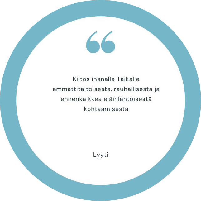 4-asiakaspalaute-Lyyti