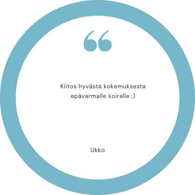 9-asiakaspalaute-Ukko