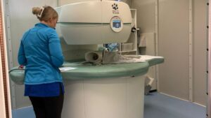 koiran magneettikuvaus Oulun eläinklinikalla